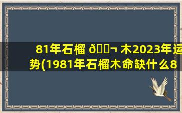 81年石榴 🐬 木2023年运势(1981年石榴木命缺什么81属鸡大运几年 🐬 )